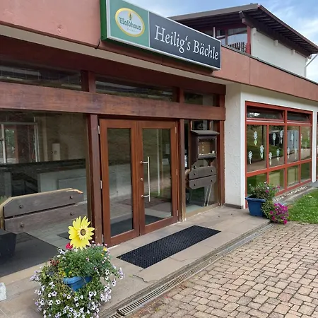 Appartement Dream Im Schwarzwald Schluchsee
